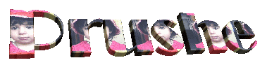 prushe09.gif